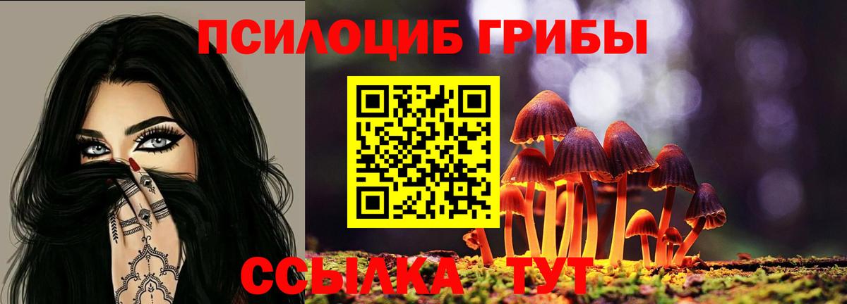 Калач-на-Дону  Псилоцибиновые грибы Cubensis  Вход с VPN 
